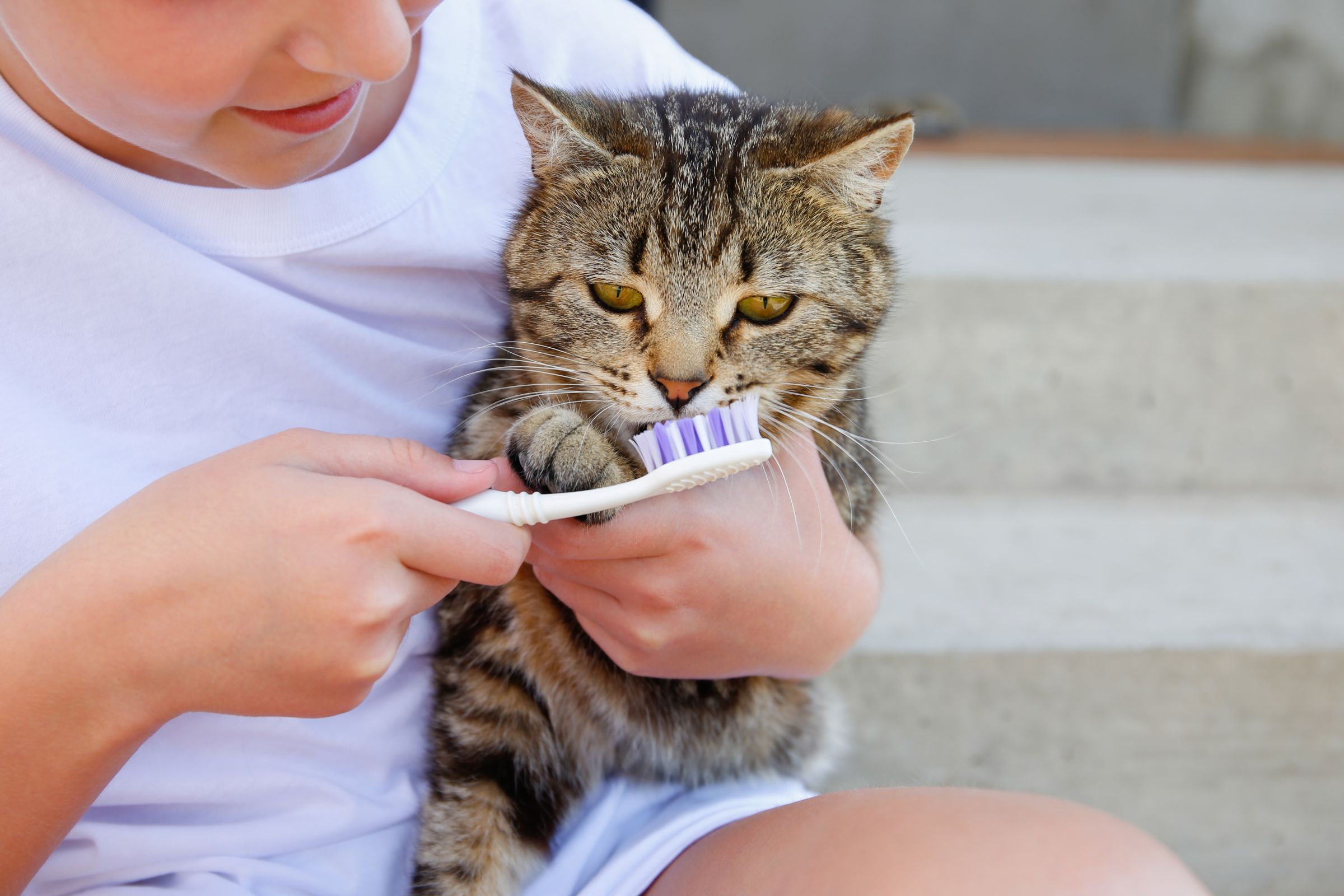 Ang flavored toothpaste na tiyak na magugustuhan ng iyong mga alaga!